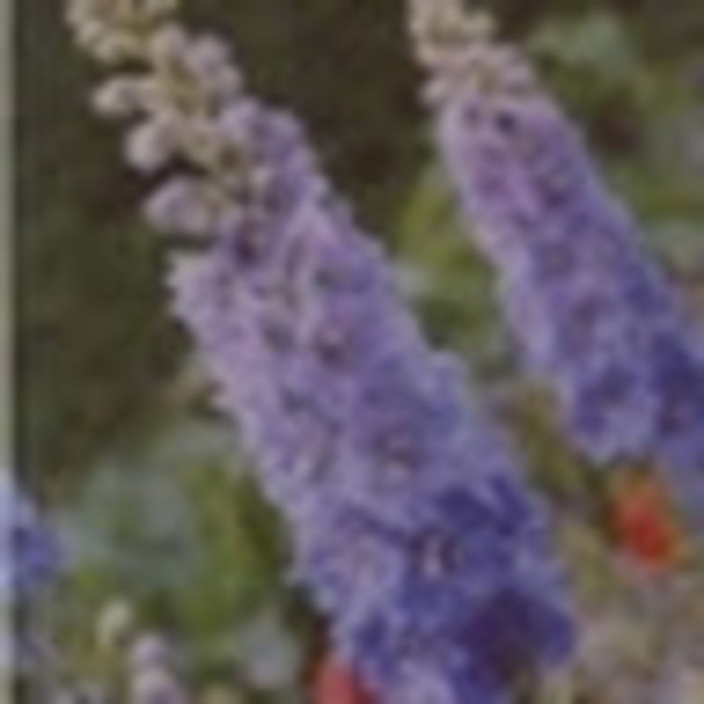 Meet your Posher, Geri anne